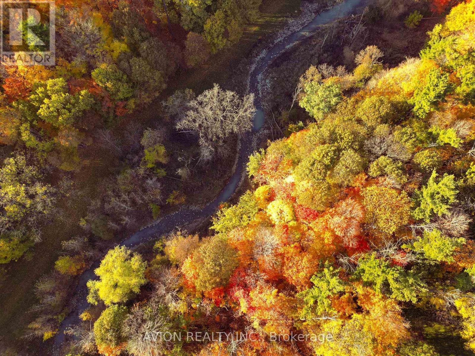 38 Purdon Drive, Toronto, ON - Outdoor With View