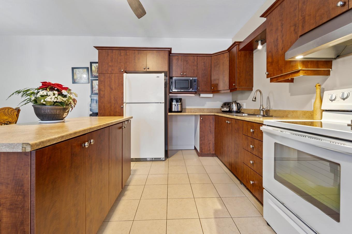 Kitchen - 253 - 263 Rue Principale, Grenville, QC - Indoor Photo Showing Kitchen With Double Sink