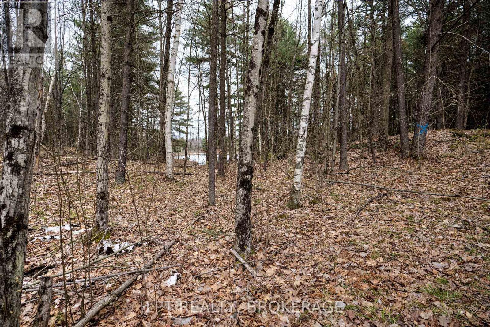 0 Old Sulphide Road, Tweed (Hungerford (Twp)), ON