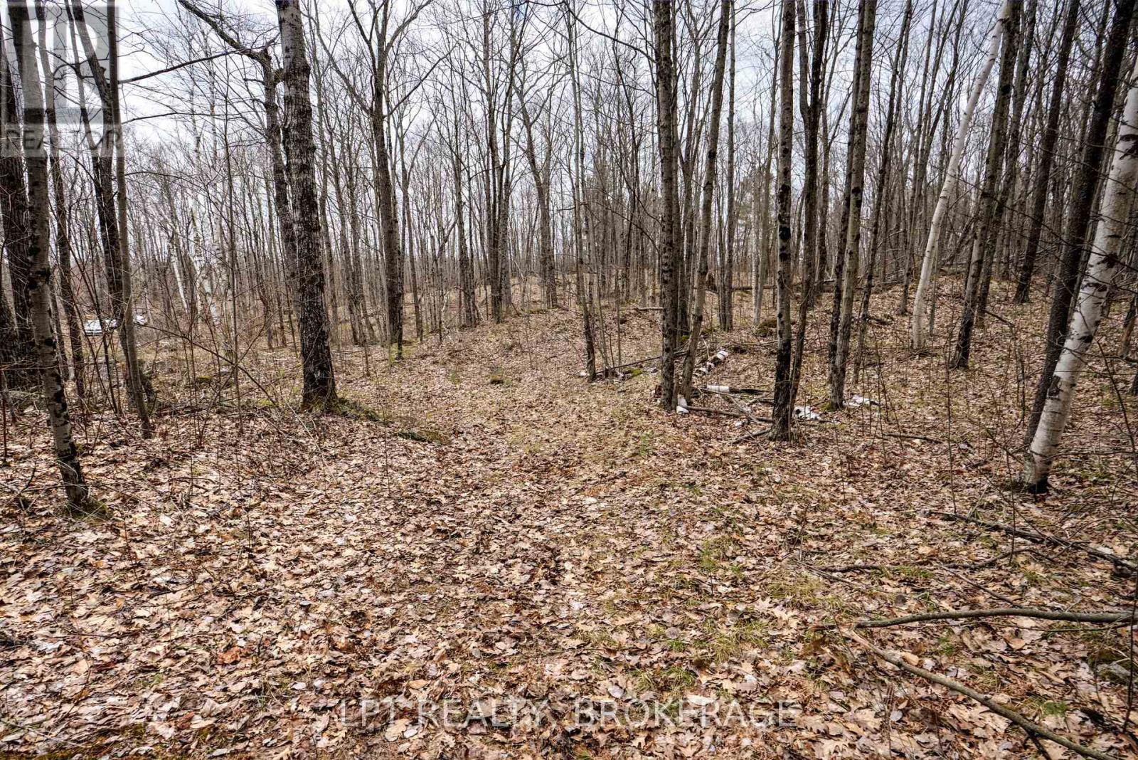 0 Old Sulphide Road, Tweed (Hungerford (Twp)), ON