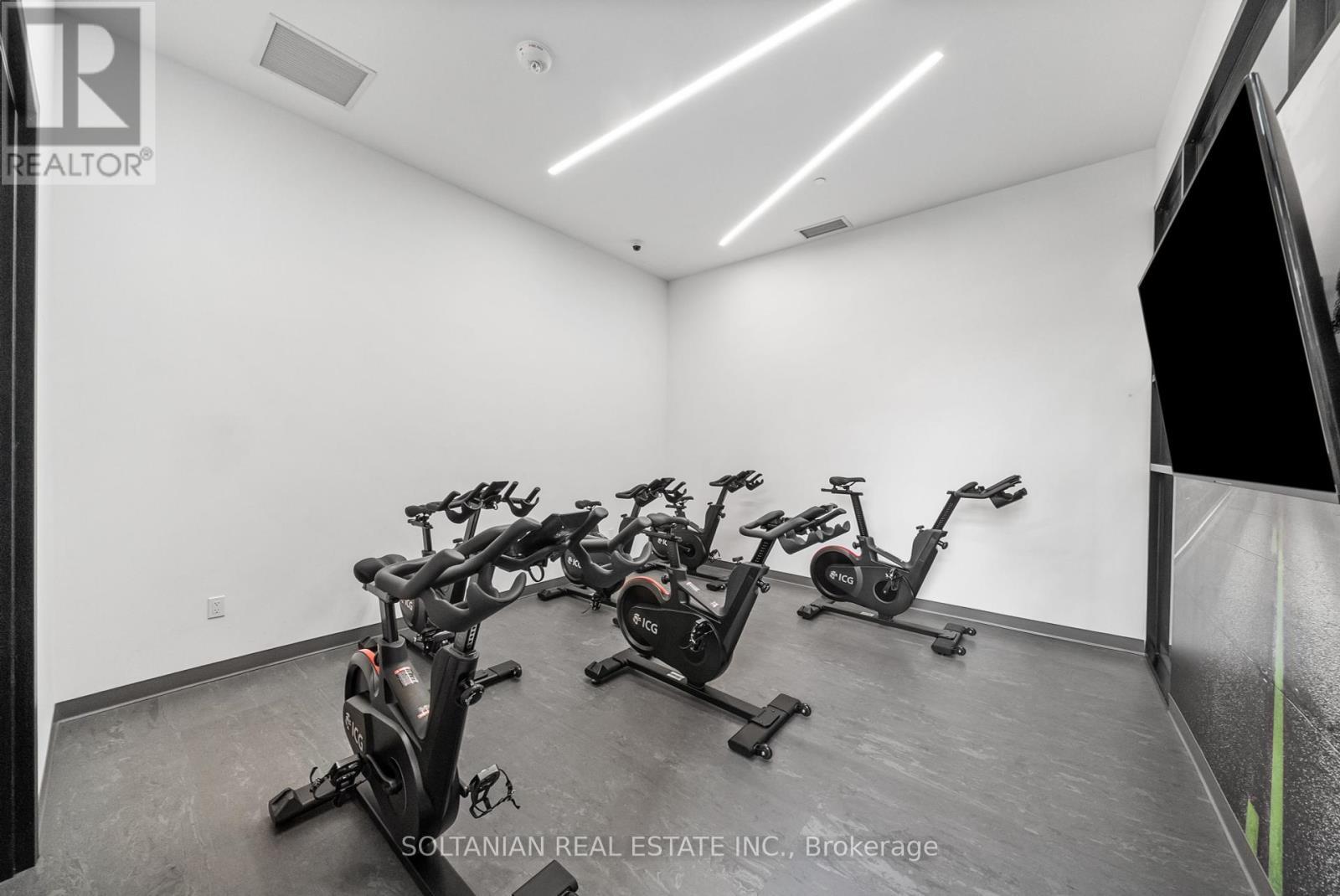810 - 50 George Butchart Drive, Toronto, ON - Indoor Photo Showing Gym Room