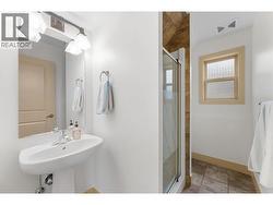 Lower Level Bathroom -