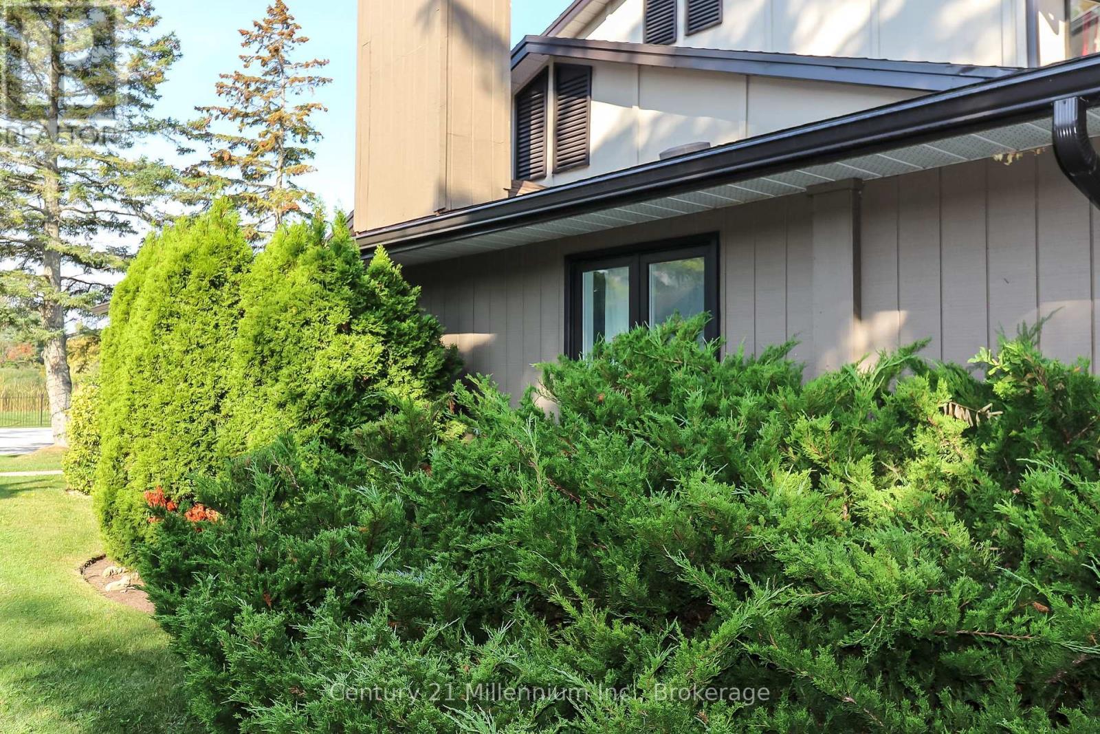 4 - 4 Trafalgar Road, Collingwood, ON - Outdoor