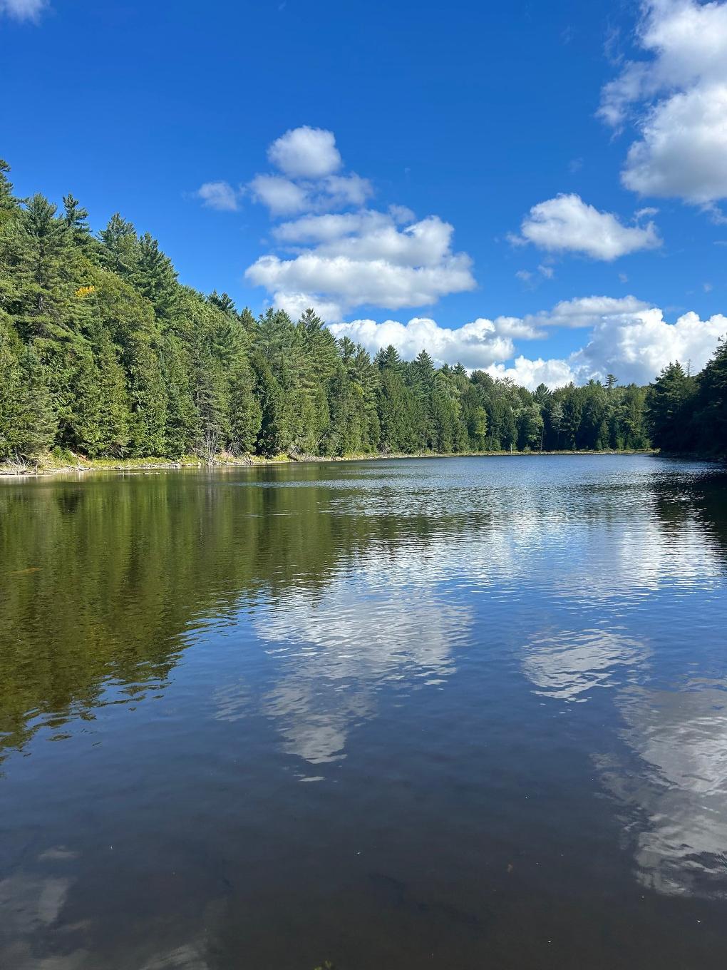 Waterfront - 30Z Ch. Des Cavernes, Cantley, QC