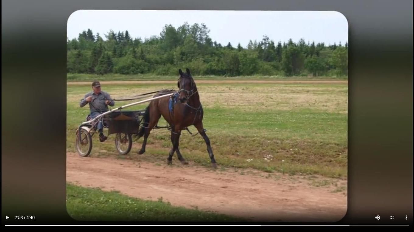 3941 Rte 3, Summerville, PE