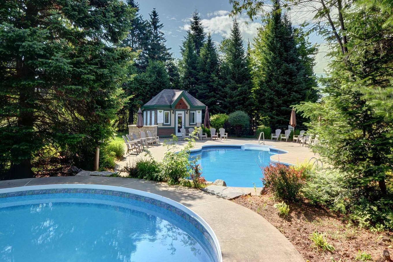Piscine - 1824 Ch. Du Golf, Mont-Tremblant, QC - Outdoor With In Ground Pool With Backyard