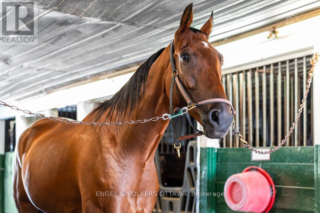 12420 Ormond Road, North Dundas, ON