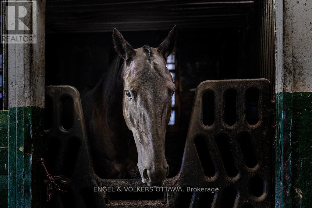 12420 Ormond Road, North Dundas, ON