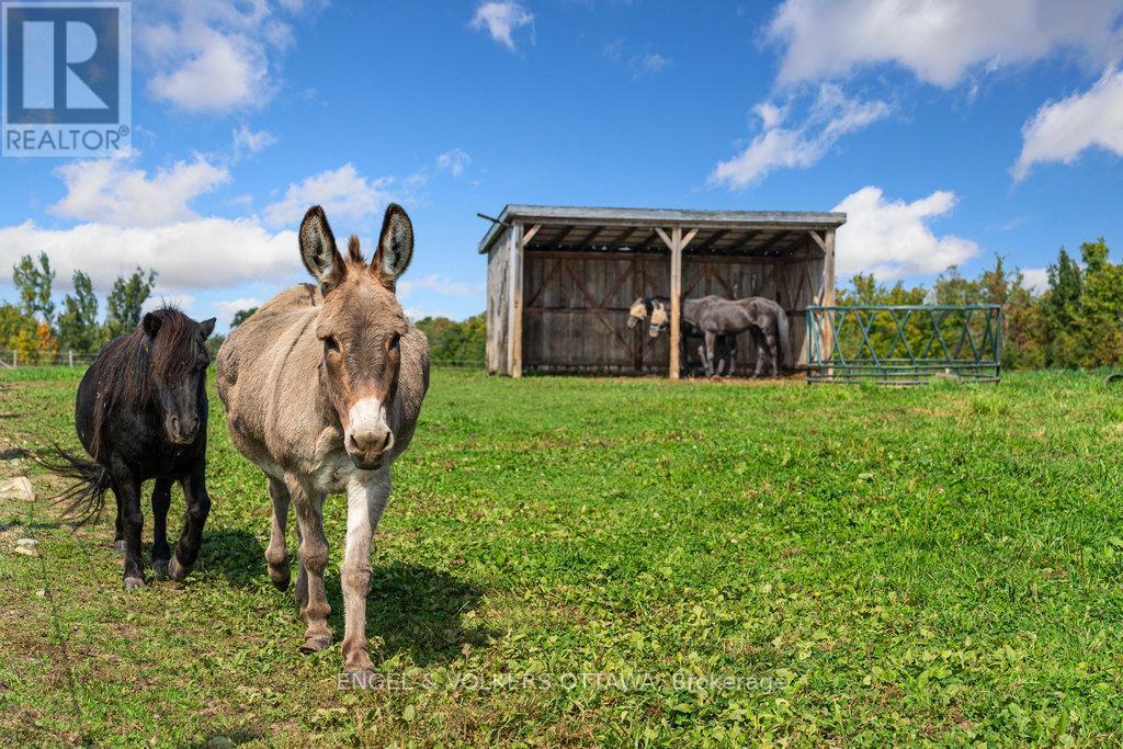 12420 Ormond Road, North Dundas, ON