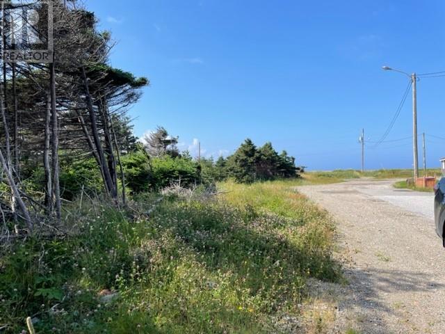 16 Beach Street, Stephenville Crossing, NL