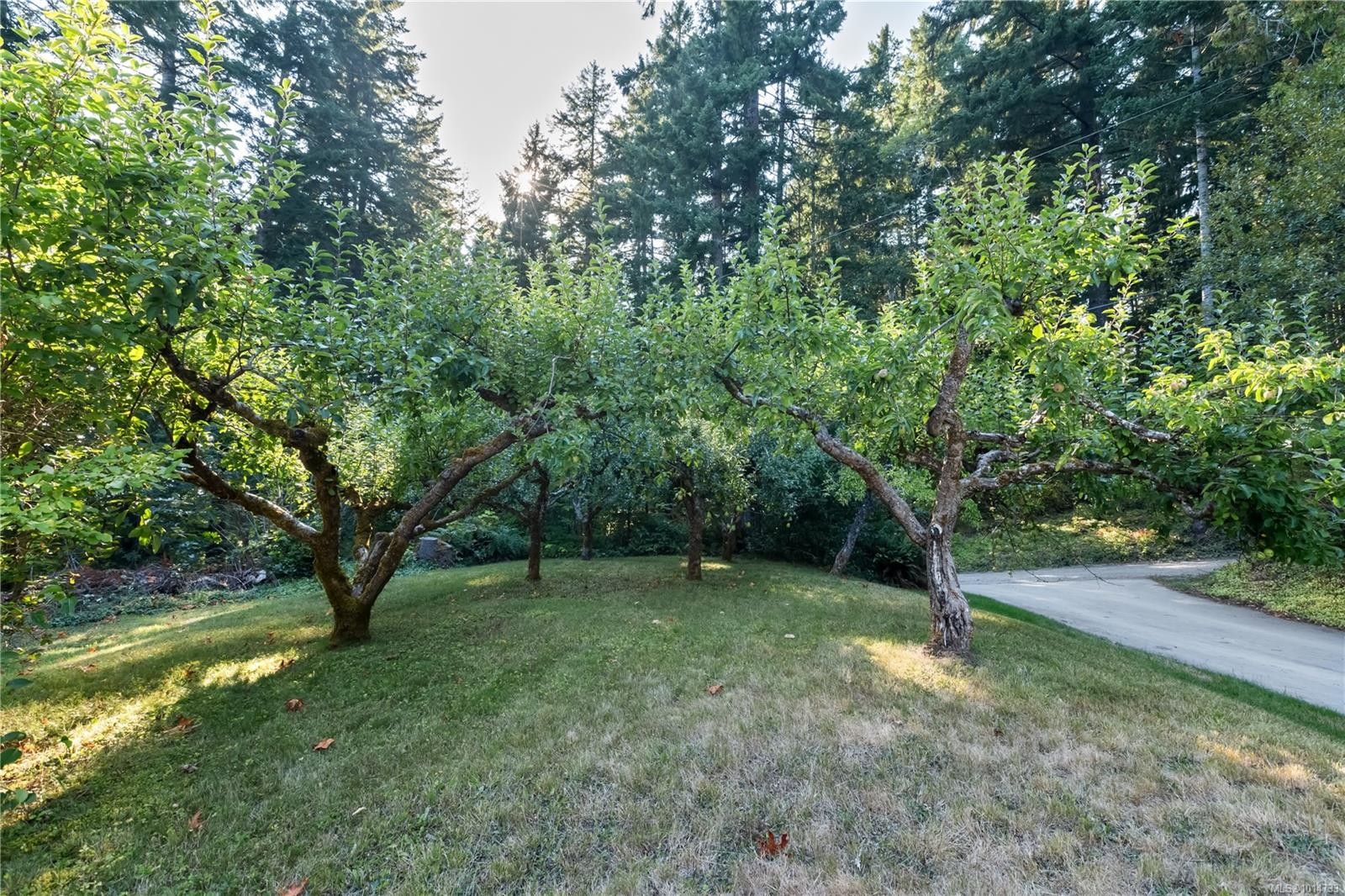 1850 Alberni Hwy, Port Alberni, BC