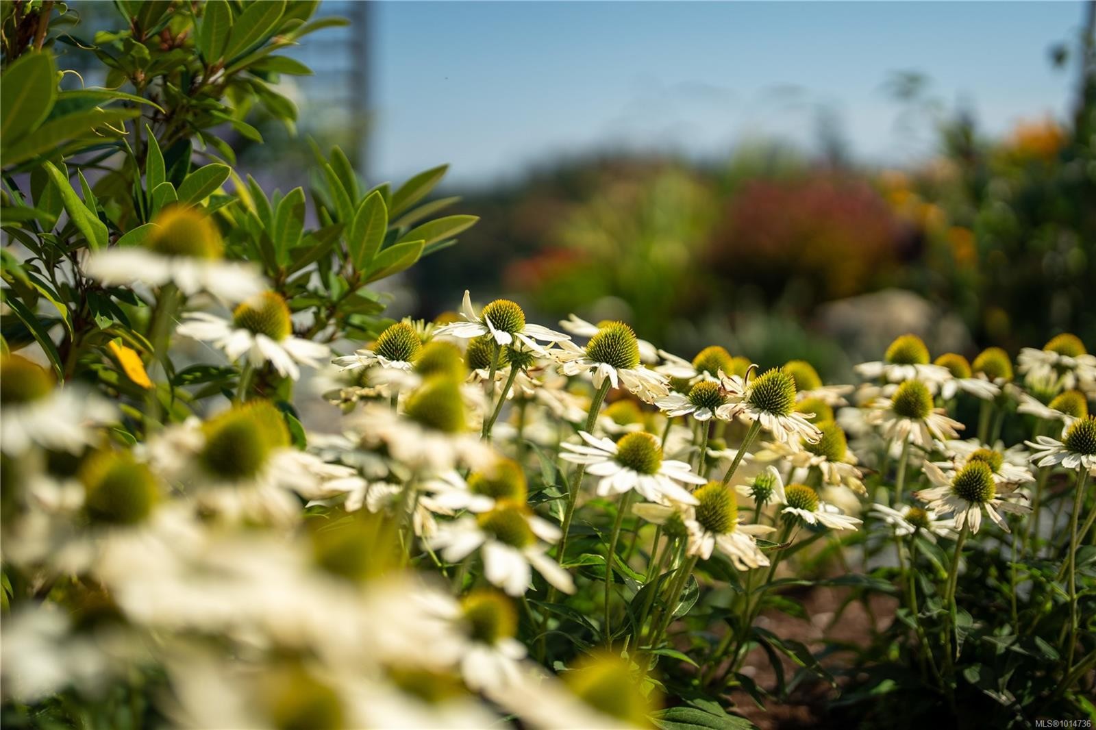 735 Arden Rd, Metchosin, BC