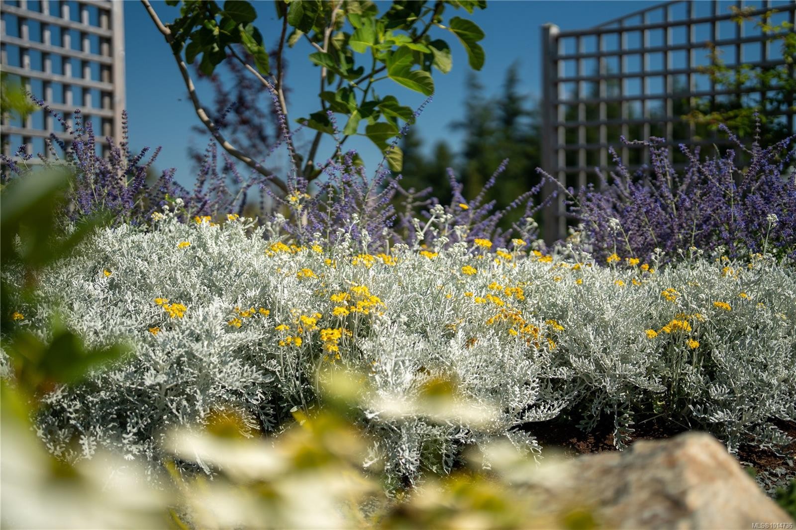 735 Arden Rd, Metchosin, BC