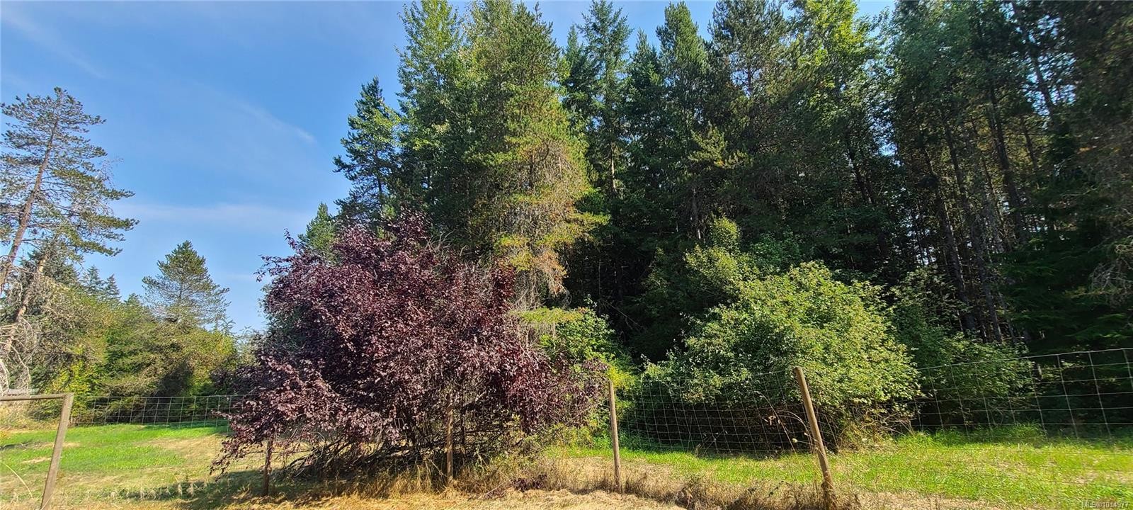 2262 Grafton Ave, Coombs, BC