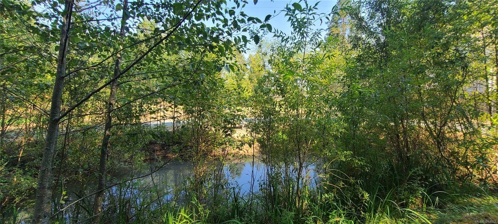 2262 Grafton Ave, Coombs, BC