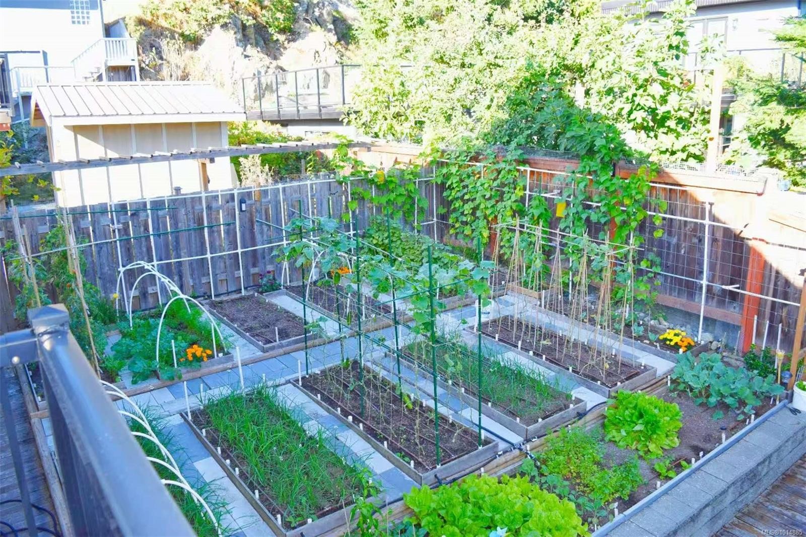 4037 Nelthorpe St, Saanich, BC