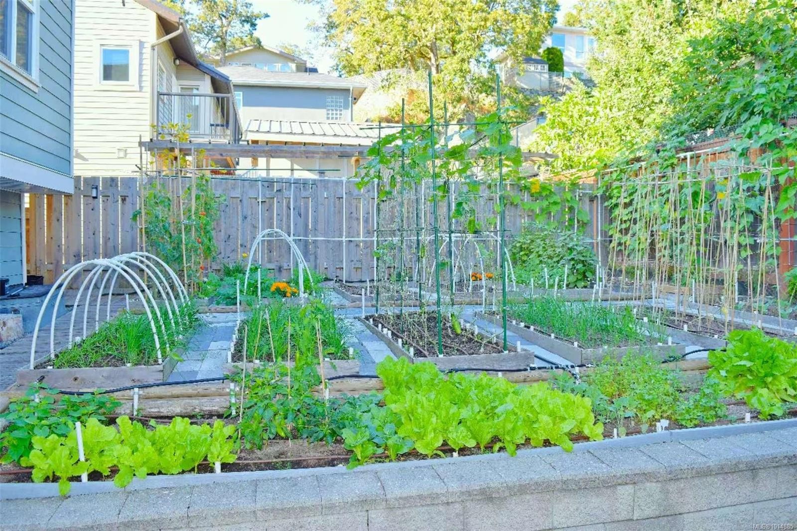 4037 Nelthorpe St, Saanich, BC