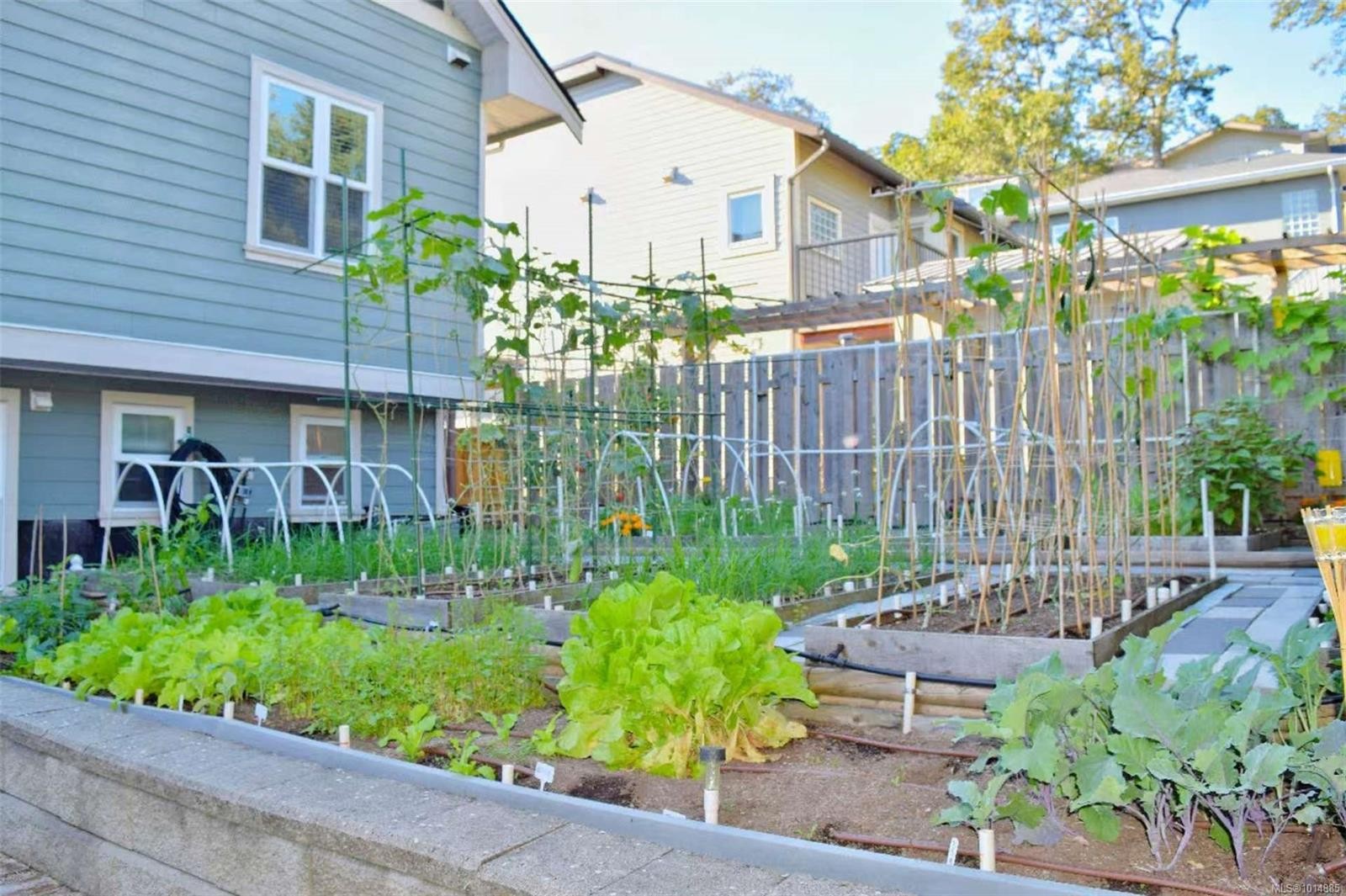 4037 Nelthorpe St, Saanich, BC