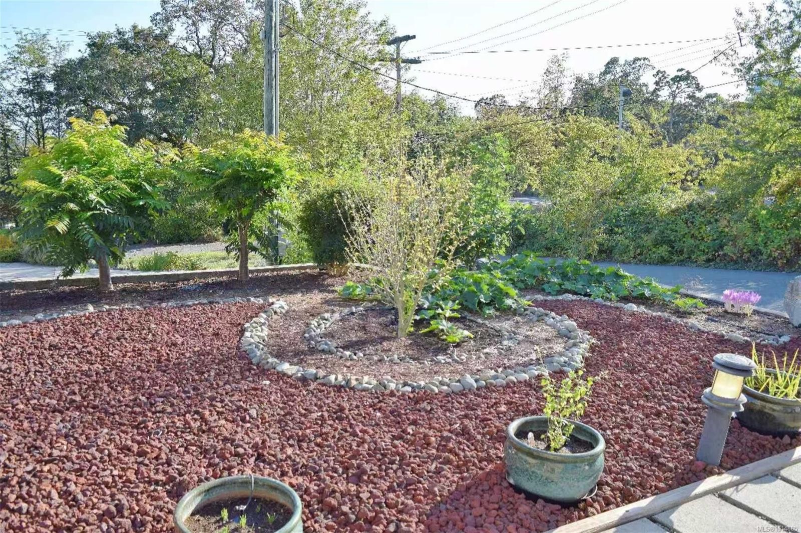 4037 Nelthorpe St, Saanich, BC