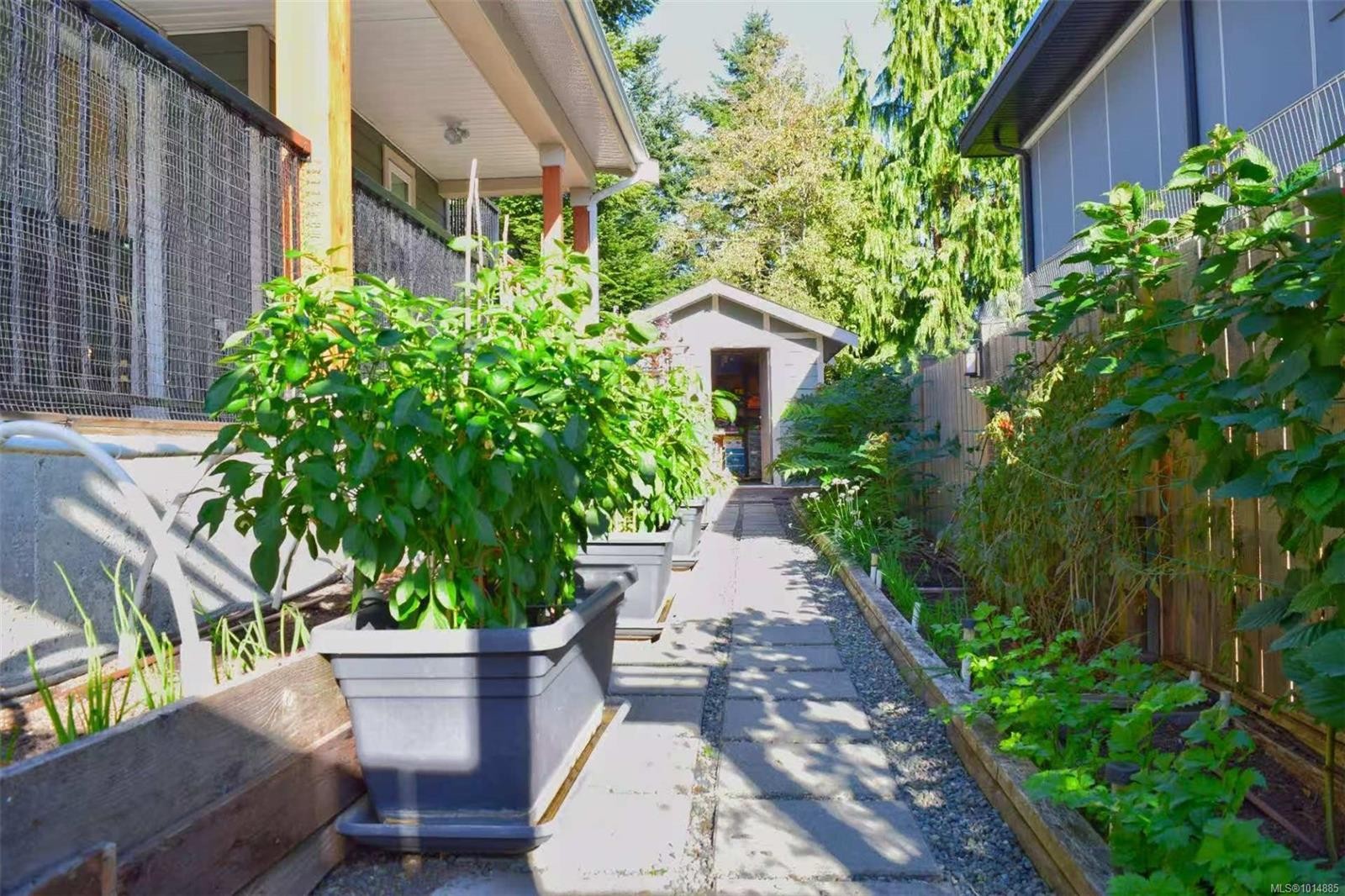 4037 Nelthorpe St, Saanich, BC