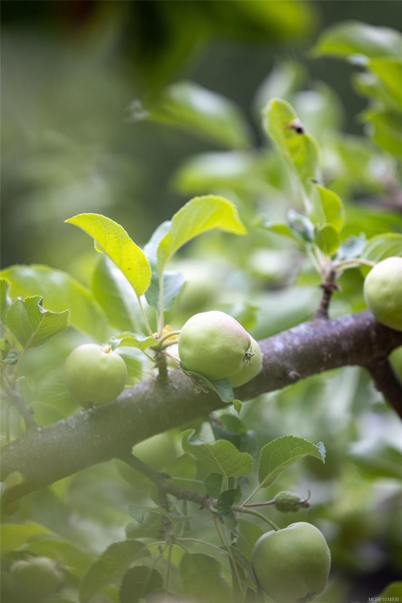 2656 Moncur Rd, Shawnigan Lake, BC