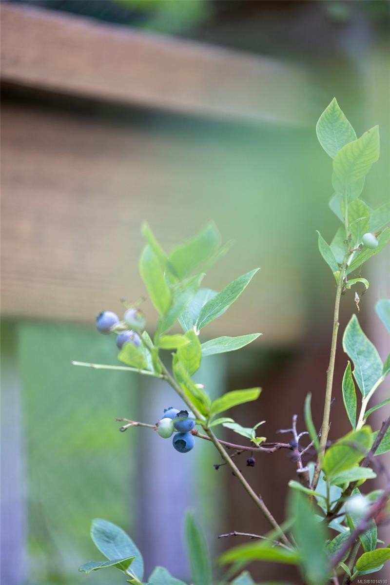 2656 Moncur Rd, Shawnigan Lake, BC