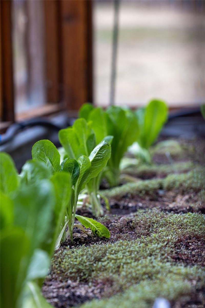 2656 Moncur Rd, Shawnigan Lake, BC