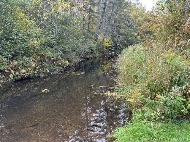 0 885 Rte, Kinnear Settlement, NB