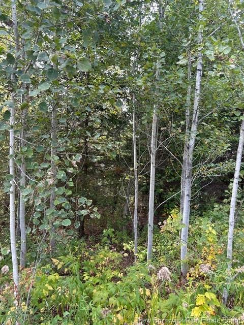 0 885 Rte, Kinnear Settlement, NB