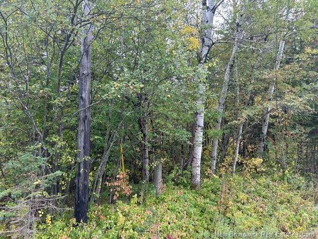 0 885 Rte, Kinnear Settlement, NB