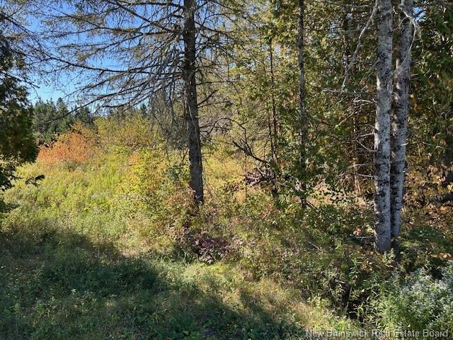 0 885 Rte, Kinnear Settlement, NB