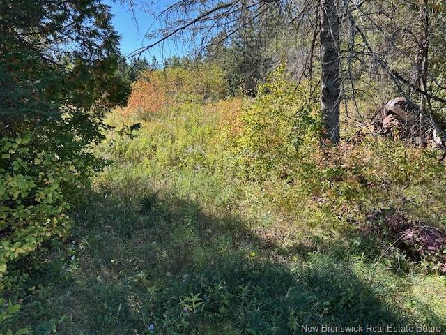 0 885 Rte, Kinnear Settlement, NB