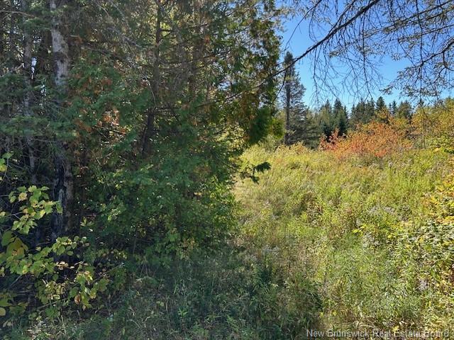 0 885 Rte, Kinnear Settlement, NB