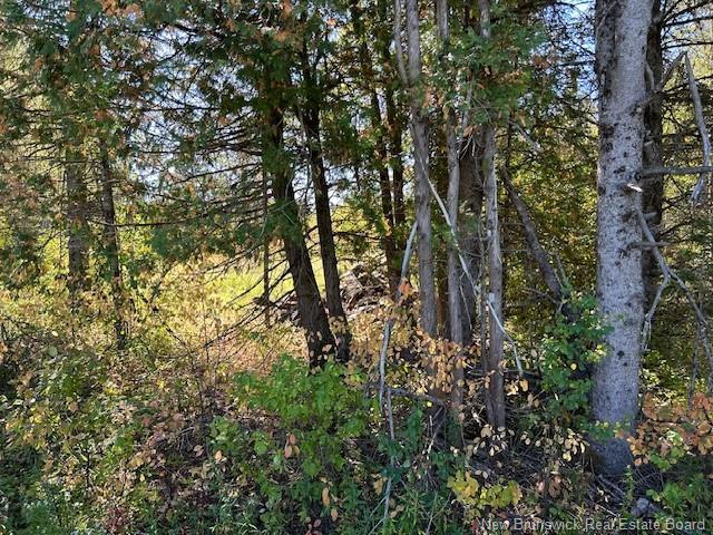 0 885 Rte, Kinnear Settlement, NB