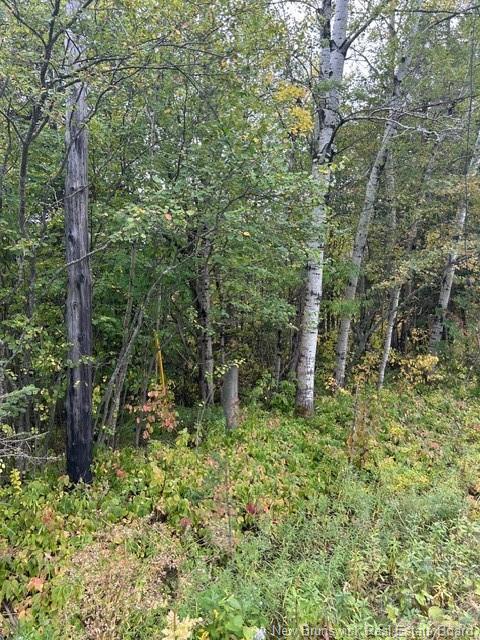 0 885 Rte, Kinnear Settlement, NB