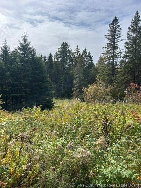 0 885 Rte, Kinnear Settlement, NB