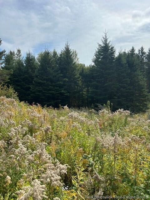 0 885 Rte, Kinnear Settlement, NB