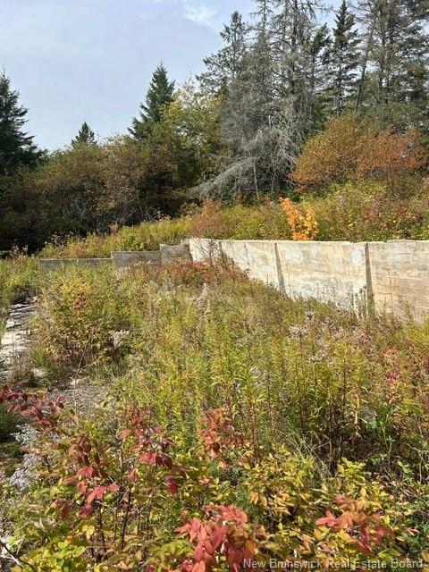 0 885 Rte, Kinnear Settlement, NB