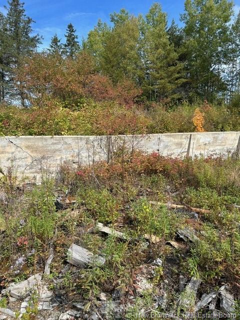 0 885 Rte, Kinnear Settlement, NB