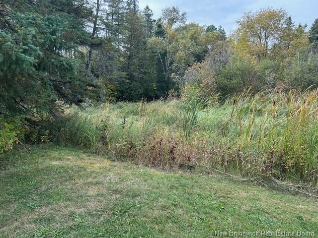 0 885 Rte, Kinnear Settlement, NB