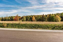 Land/Lot -