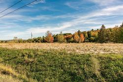 Land/Lot -