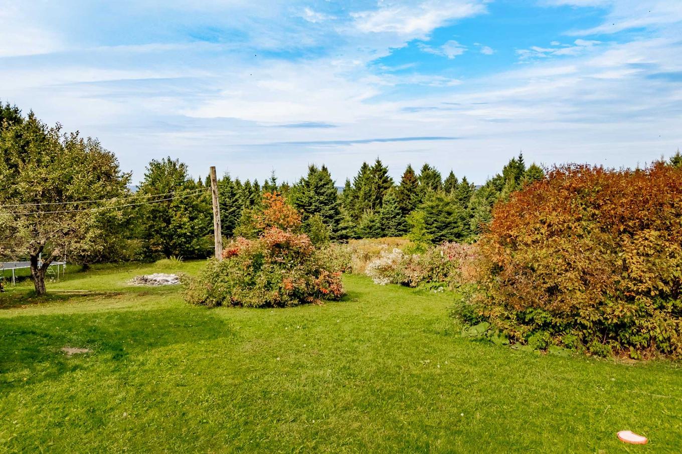 Land/Lot - 1000 10E Rang, Saint-Herménégilde, QC - Outdoor With View