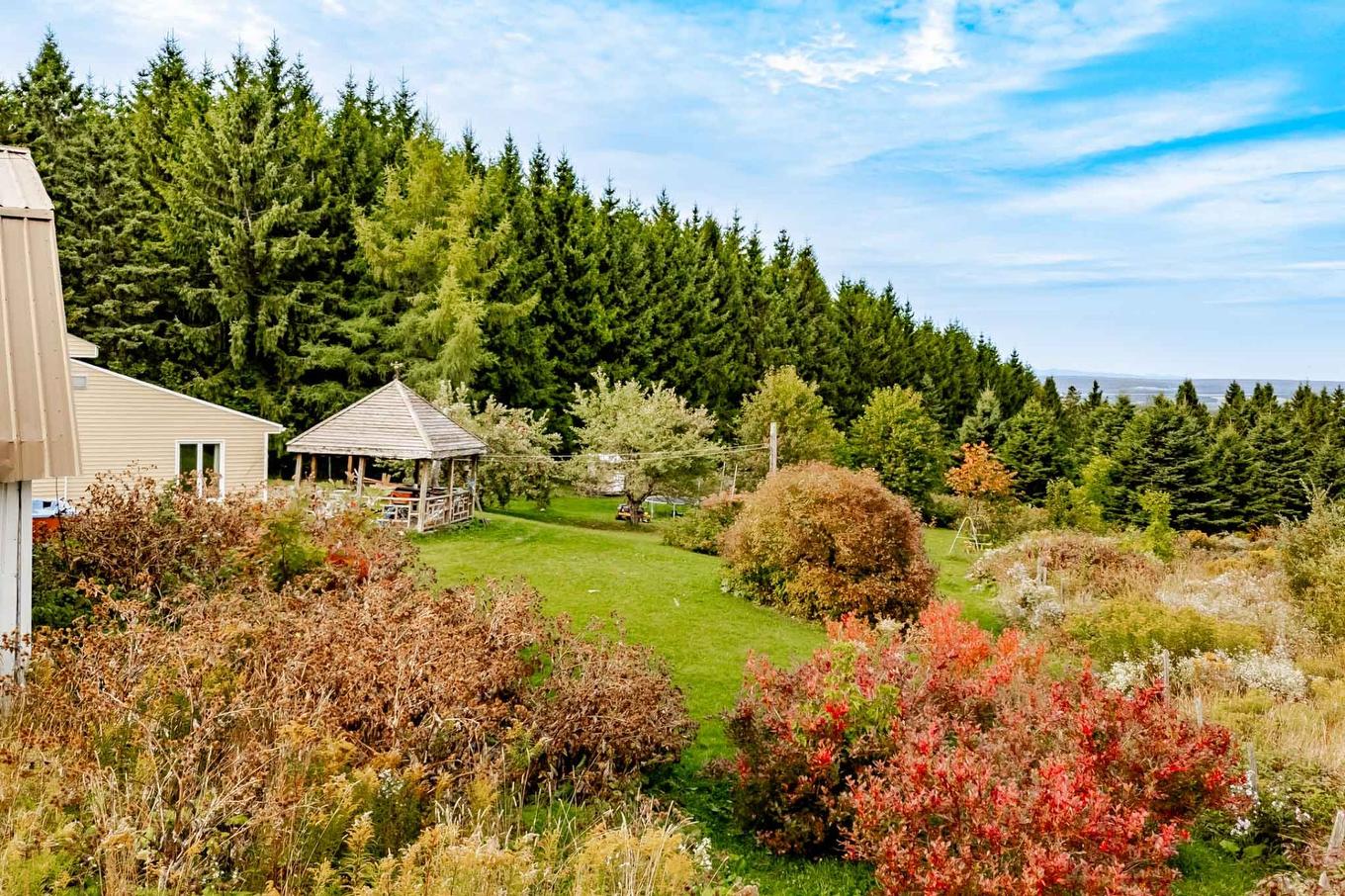 Land/Lot - 1000 10E Rang, Saint-Herménégilde, QC - Outdoor With View