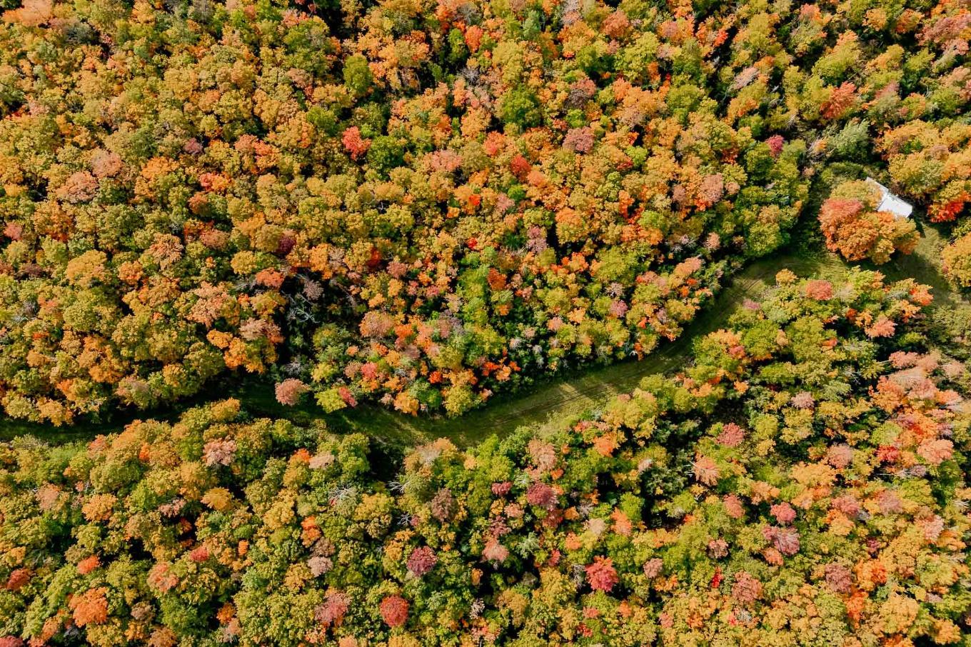 Aerial photo - 1000 10E Rang, Saint-Herménégilde, QC - Outdoor