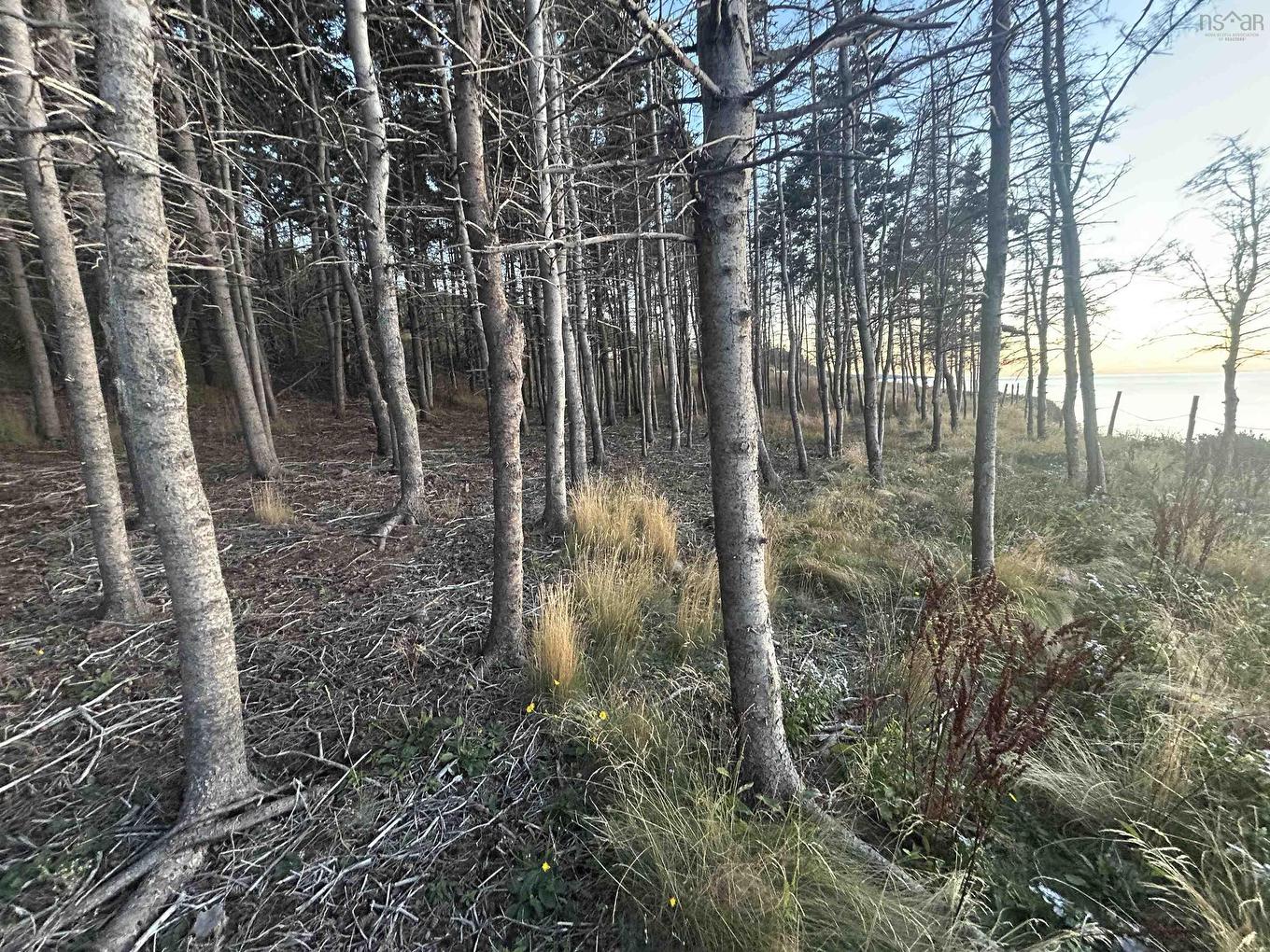 Lot 10-2 Highway 337, Morar, NS