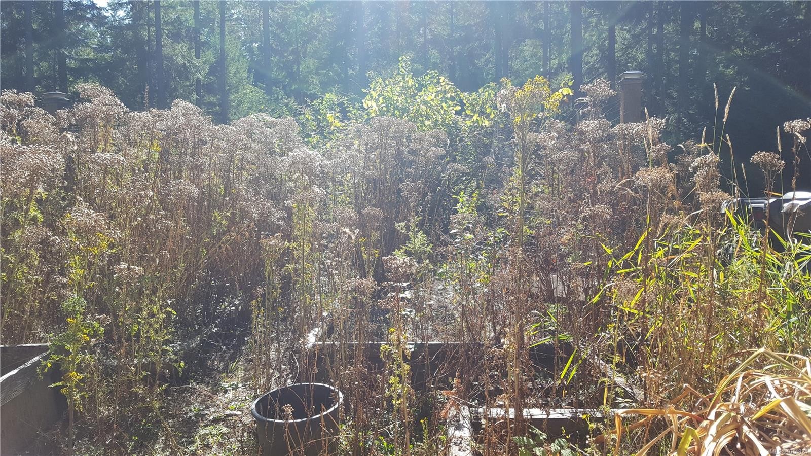 4622 Sailor Rd, Pender Island, BC