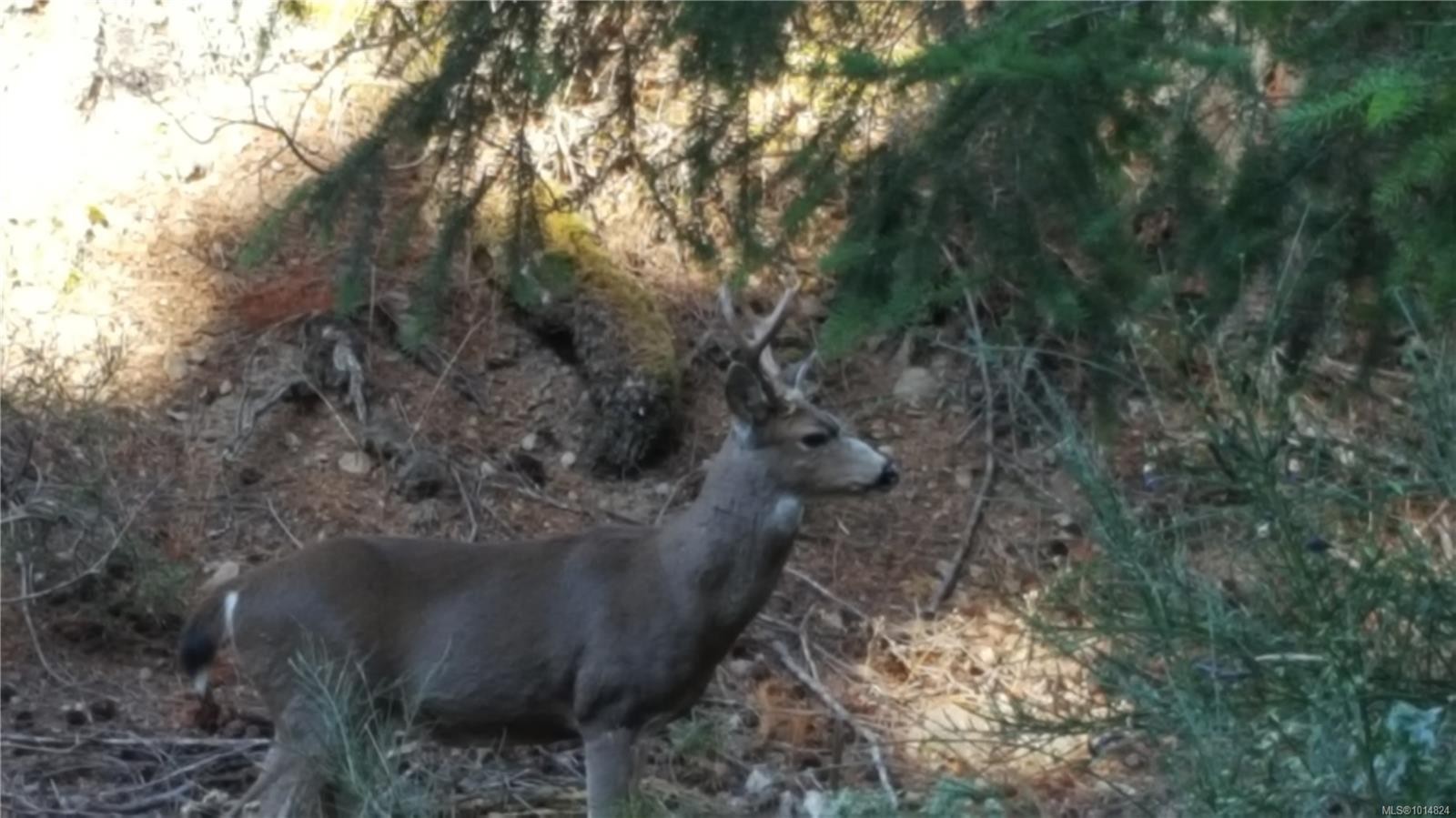 4622 Sailor Rd, Pender Island, BC