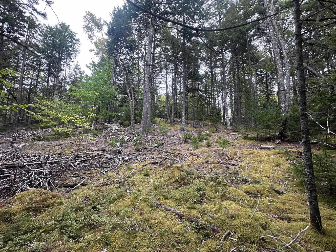 Lot 2 Narrows Road, Labelle, NS