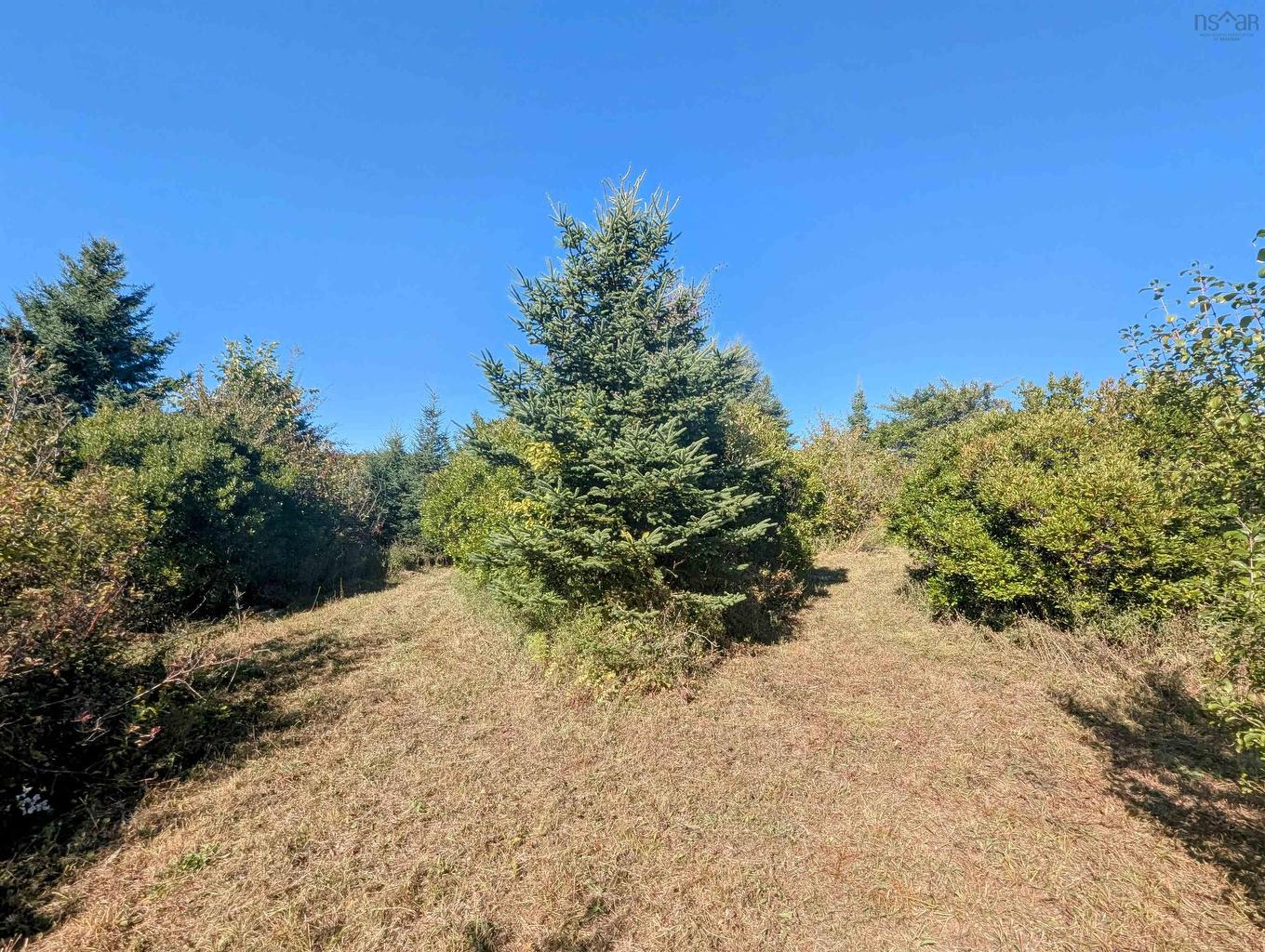 Lot 1 Avon Spirit Lane, Avondale, NS